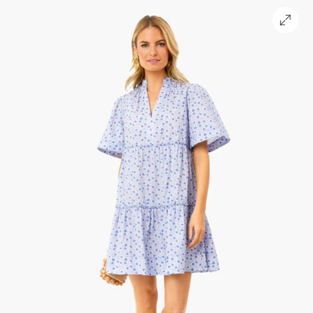 Tuckernuck Blue Floral Mini Dress